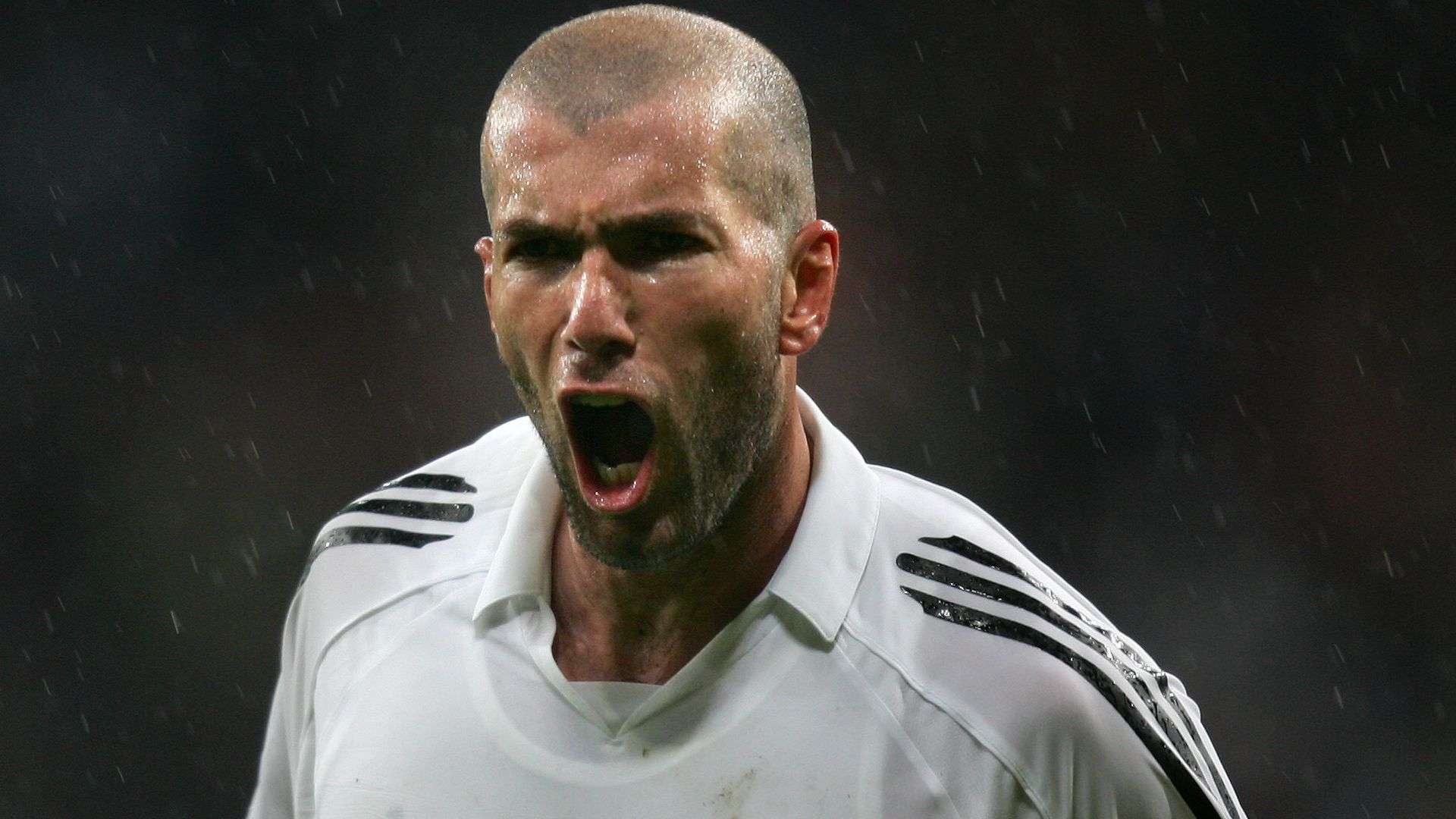 不可小觑 不可小觑