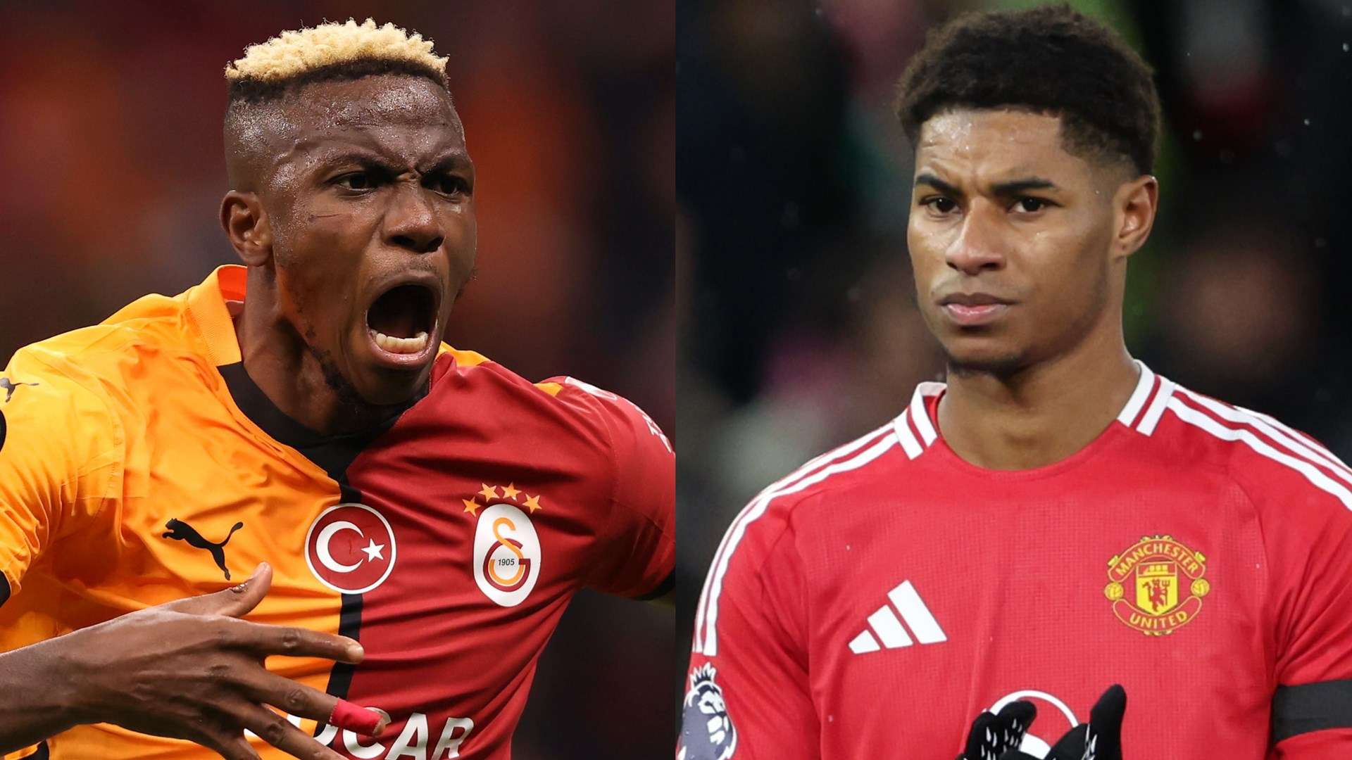 她没有选择 她没有选择